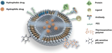 Graphical abstract: Progress on liposome delivery systems in the treatment of bladder cancer