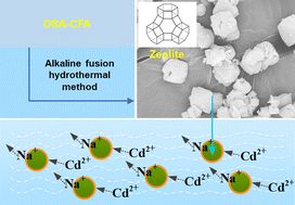 Graphical abstract: Adsorption of Cd2+ ions onto zeolites synthesized from a mixture of coal fly ash and oil shale ash in aqueous media