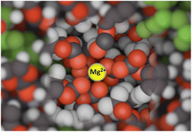 Graphical abstract: Interplay between organic solvent geometry and divalent cation dynamics in divalent metal batteries