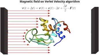 Graphical abstract: Incorporation of the magnetic field in GROMACS: validation and applications in biological systems