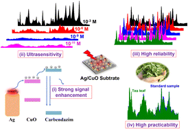 Graphical abstract: Ultrasensitive detection of carbendazim pesticide in tea leaves using a green Ag/CuO(Cu2O) nanocomposite-based SERS sensor: role of metal/semiconductor transition in sensing performance