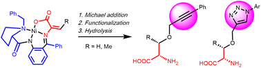 Graphical abstract: Sequential Michael addition, cross-coupling and [3 + 2] cycloaddition reactions within the coordination sphere of chiral Ni(ii) Schiff base complexes derived from dehydroamino acids: pathways to the asymmetric synthesis of structurally diverse O-substituted serine and threonine analogs