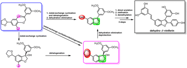 Graphical abstract: Efficient total synthesis of dehydro-δ-viniferin through metal–halogen exchange cyclization