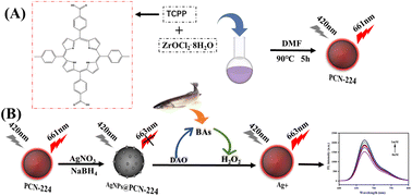 Graphical abstract: A fluorescent probe based on a luminescent metal–organic framework for the sensitive detection of histamine in aquatic products
