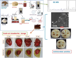 Graphical abstract: Development and characterization of sustainable chitosan film enriched with ashwagandha extract as an alternative packaging material for enhancing shelf life of fresh-cut fruits