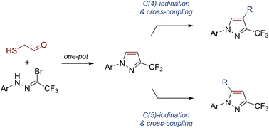 Graphical abstract: Exercise in 1-aryl-3-CF3-1H-pyrazoles: regioselective synthesis of 4-/5-iodides and cross-coupling reactions