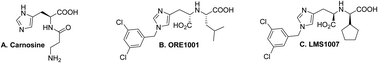 Graphical abstract: Synthesis, molecular docking, and in vitro activity of a novel angiotensin-converting enzyme 2 inhibitor, LMS1007: a potential molecule in Covid-19 and cancer treatments