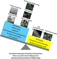 Graphical abstract: Complex interplay of surface properties in modulating antibacterial activity of Ti50Zr alloys