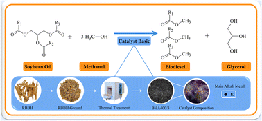 Graphical abstract: Catalytic solid derived from residual bean husk biomass applied to sustainable biodiesel production: preparation, characterization, and regeneration study