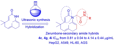Graphical abstract: Novel zerumbone-secondary amide hybrids: ultrasonic synthesis, cytotoxic evaluation, molecular docking and in silico ADMET studies