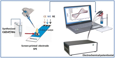 Graphical abstract: Structural, optical, and electrochemical properties of tungsten-doped cadmium zinc phosphate nanoporous materials for energy storage and peroxide detection