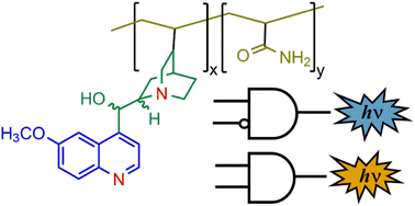 Graphical abstract: Cinchona alkaloid copolymers as fluorimetric INHIBIT and colorimetric AND logic gates for detection of iodide