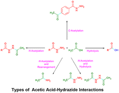 Graphical abstract: Evaluation of the interactions of hydrazide derivatives with acetic acid and molecular modeling analysis of N-acetylated hydrazides