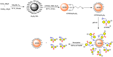Graphical abstract: Sensitive determination of chlorpromazine in pharmaceutical formulations and biological fluids using solid phase extraction followed by HPLC-UV and spectrophotometric analysis