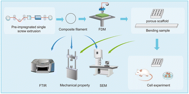 Graphical abstract: Properties of 3D-printed continuous silk fiber-reinforced poly(caprolactone)