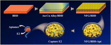 Graphical abstract: Nano-foam gold-modified diamond electrochemical aptasensing platform for ultrasensitive monitoring of 17β-estradiol