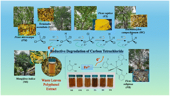 Graphical abstract: Reductive degradation of carbon tetrachloride using tree leaf polyphenol–iron complexes for groundwater remediation