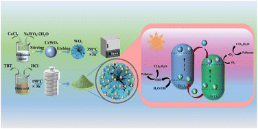 Graphical abstract: Hollow flower-like WO3@TiO2 heterojunction microspheres for the photocatalytic degradation of rhodamine B and tetracycline