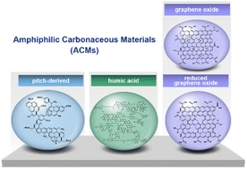 Graphical abstract: Amphiphilic carbonaceous materials: preparation methods and applications