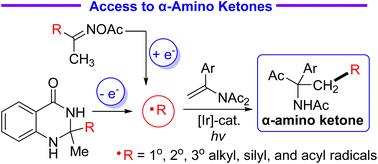 Graphical abstract: Modular reductive radical-polar crossover-based acyl migration reactions of N-vinylimides with alkyl, silyl, and acyl radicals