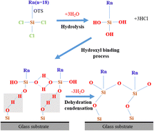 Graphical abstract: Study on the properties of modified octadecyltrichlorosilane (OTS) anti-relaxation coatings for cesium atomic cell: a molecular dynamics simulation