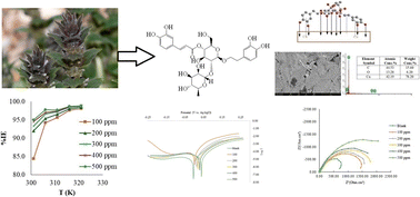 Graphical abstract: Acteoside: a novel green inhibitor for the corrosion of copper in 1.0 M HNO3 solution: experimental and theoretical investigation