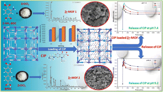 Graphical abstract: Zirconium-based MOFs as pH-responsive drug delivery systems: encapsulation and release profiles of ciprofloxacin