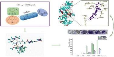 Graphical abstract: Design, synthesis and antifungal activity of novel matrine-hydroxamic acid derivatives containing benzene sulfonamide