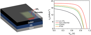 Graphical abstract: Hole transport layer selection for stable and efficient carbon electrode-based perovskite solar cells