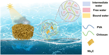 Graphical abstract: 2D Nb2C MXene-enhanced hierarchical hydrogel for efficient solar-driven water evaporation