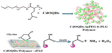 Graphical abstract: Polymer thin film-embedded metal oxide-modified electrochemical paper-based sensor for glycine detection