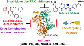 Graphical abstract: Recent advances in focal adhesion kinase (FAK)-targeting antitumor agents