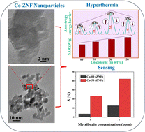 Graphical abstract: Cobalt ion-incorporated nanocrystalline spinel cubic zinc ferrite for targeted magnetic hyperthermia and sensing applications