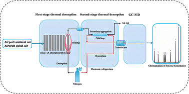 Graphical abstract: Determination of eight benzene homologues in airport ambient air and aircraft cabin air by two-stage thermal desorption-gas chromatography