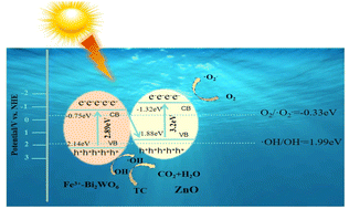 Graphical abstract: A novel ZnO/Fe3+-doped Bi2WO6 photocatalyst with triple synergistic effect for solar-driven tetracycline degradation