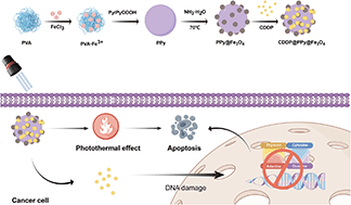 Graphical abstract: NIR-responsive cisplatin nanoparticles for synergistic chemo-photothermal therapy of oral squamous cell carcinoma