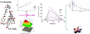 Graphical abstract: Development of N,P-doped carbon quantum dots as a green fluorescent probe for fexofenadine determination: mechanistic studies, Box–Behnken optimization, and pharmacokinetic application