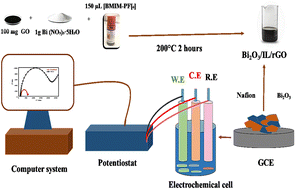 Graphical abstract: Enhanced electrochemical sensing of lead in environmental samples using Bi2O3/IL/rGO hybrid nanocomposite