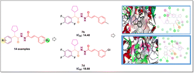 Graphical abstract: Synthesis, characterization, and in vitro and in silico α-glucosidase inhibitory evolution of novel N′-(2-cyclopentyl-2-phenylacetyl)cinnamohydrazide derivatives
