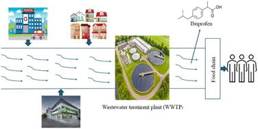 Graphical abstract: A review of the developments in adsorbents for the efficient adsorption of ibuprofen from wastewater