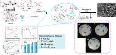 Graphical abstract: Silane-crosslinked graphene oxide reinforced chitosan/sodium alginate hydrogel for controlled release of insulin