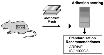 Graphical abstract: Experimental methodology used for testing in vivo adhesion of composite meshes for incisional hernia repair: a scoping review
