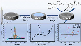 Graphical abstract: Electrochemical pretreatment of a glassy carbon electrode for sensitive determination of epinephrine