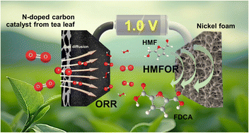 Graphical abstract: Sustainable carbon-based catalysts for oxygen reduction-enhanced FDCA production at ultra-low cell voltage