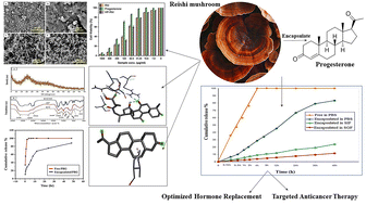 Graphical abstract: Encapsulation of progesterone in reishi mushroom composite for optimized hormone replacement and targeted anticancer therapy