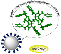 Graphical abstract: Materials utilizing supramolecular host-guest binding for gold extraction