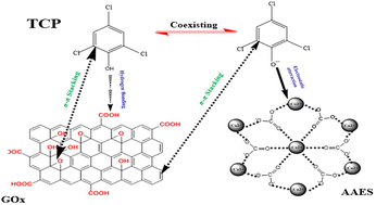 Graphical abstract: Sustainable and eco-friendly removal of 2,4,6-tricholorophenol from water using an acid-activated bio-waste/graphene oxide composite
