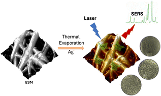 Graphical abstract: Silver-coated eggshell membrane as a cost-effective SERS platform for enhanced molecular sensing