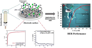 Graphical abstract: Facile synthesis of a Ni–Cu composite reinforced with a para-phenylenediamine layer for enhanced hydrogen evolution reaction