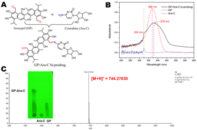 Graphical abstract: Synthesis of an amphiphilic bi-prodrug based on gossypol and cytarabine for drug self-delivery
